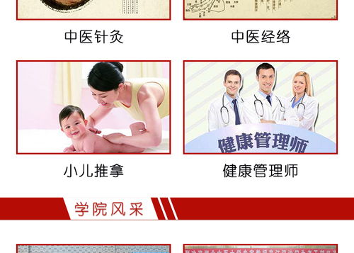 湖北中醫(yī)藥學(xué)校的中醫(yī)養(yǎng)生培訓(xùn)與養(yǎng)生保健服務(wù)